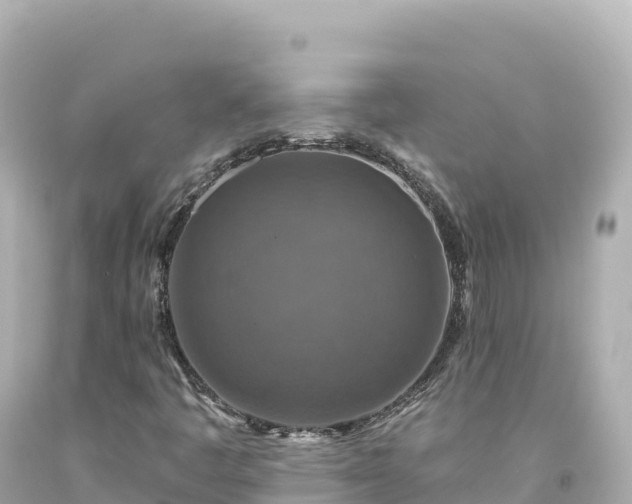 X0000094231445200711021151