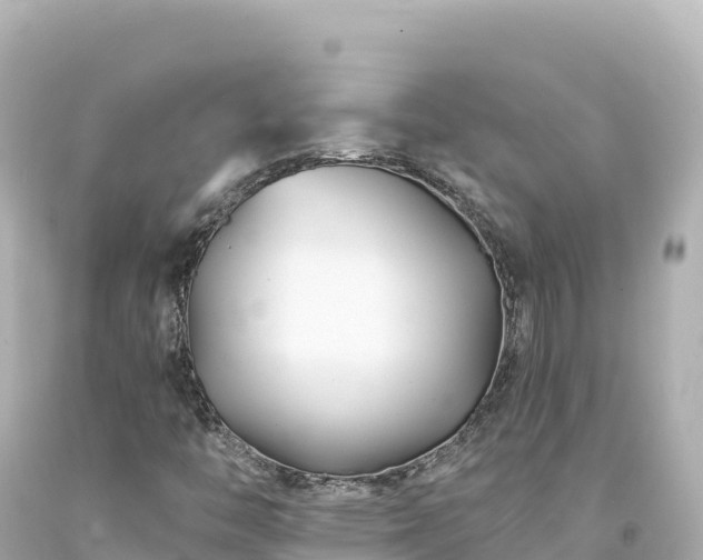 X0000094231446200711021151