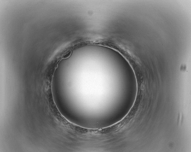 X0000094231447200711021151