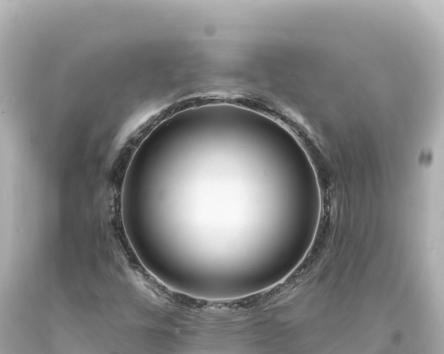 X0000094231448200711021151