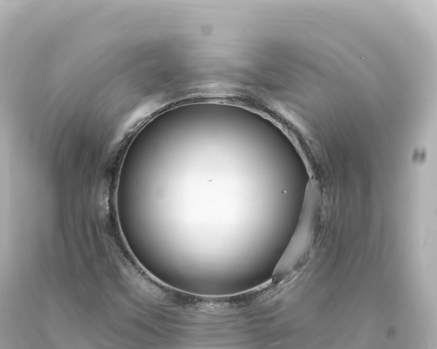 X0000094231451200711021151