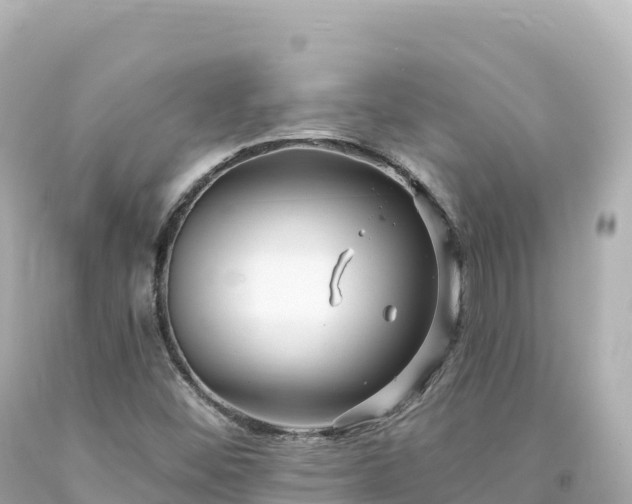 X0000094231452200711021151