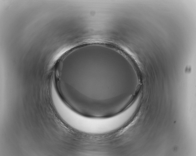 X0000094231453200711021151