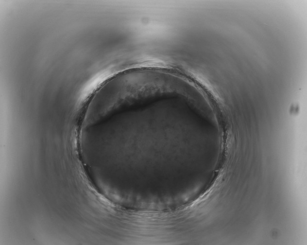 X0000094231455200711021151