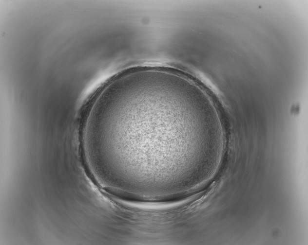 X0000094231456200711021151