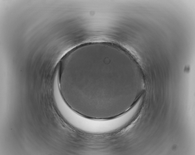 X0000094231457200711021151