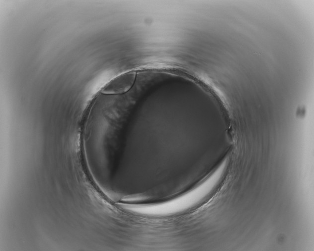 X0000094231459200711021151