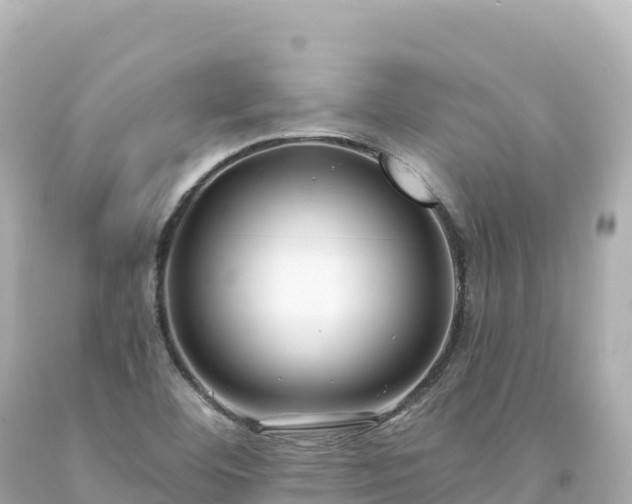 X0000094231460200711021151