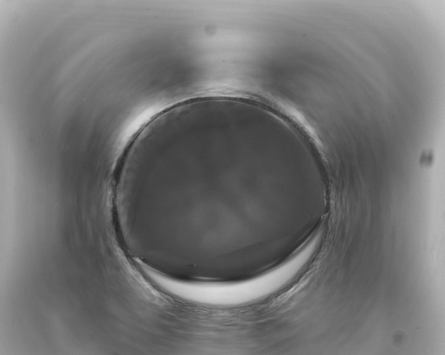 X0000094231463200711021151