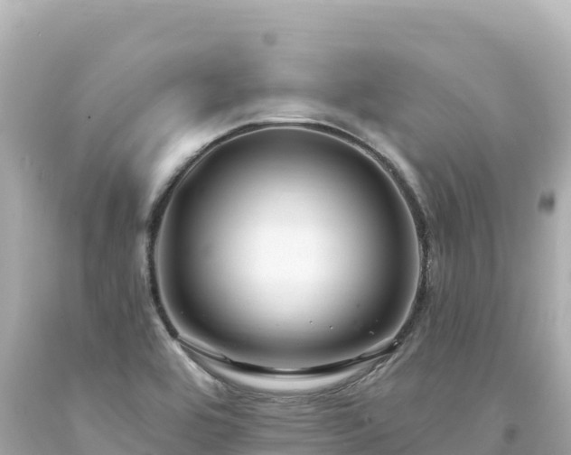 X0000094231464200711021151