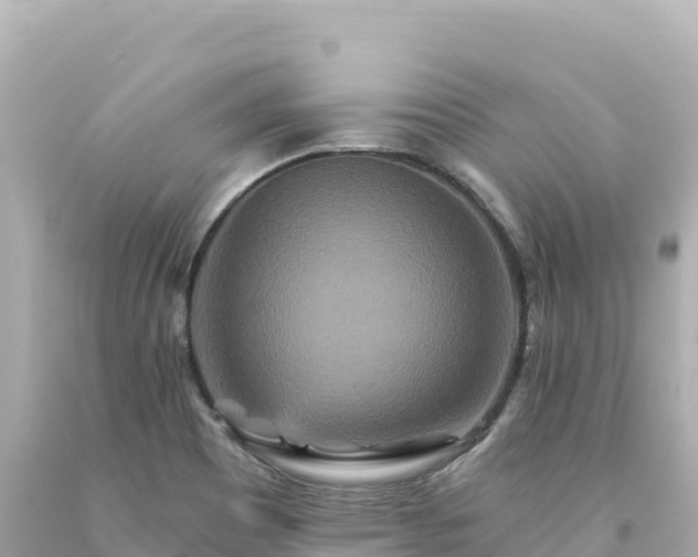 X0000094231465200711021151
