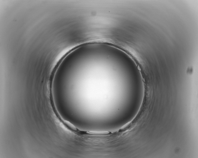 X0000094231468200711021151