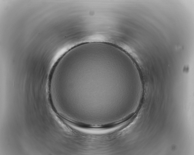 X0000094231469200711021151