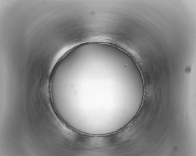 X0000094231470200711021151