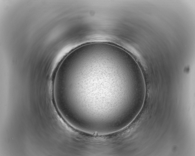 X0000094231472200711021151