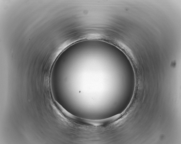 X0000094231473200711021151