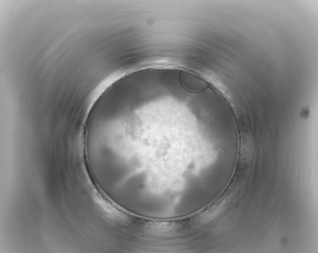 X0000094231474200711021151