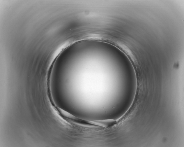 X0000094231475200711021151