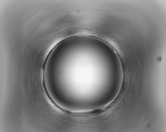 X0000094231476200711021151