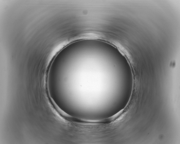 X0000094231477200711021151