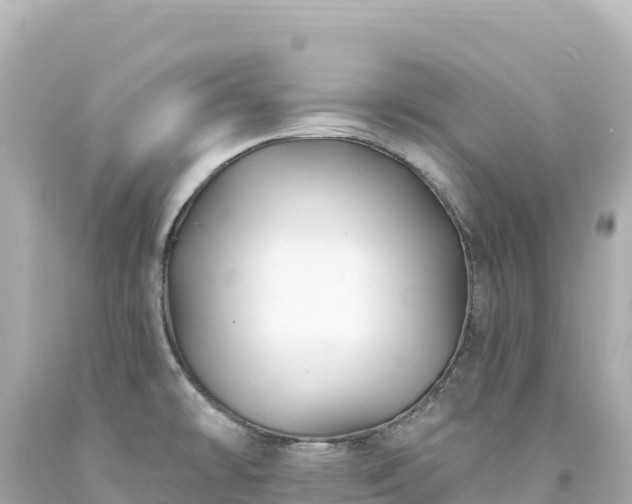 X0000094231478200711021151