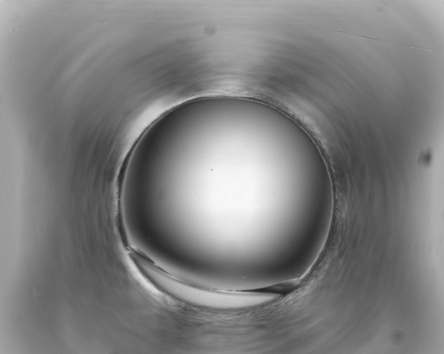 X0000094231479200711021151