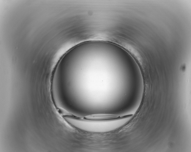 X0000094231480200711021151