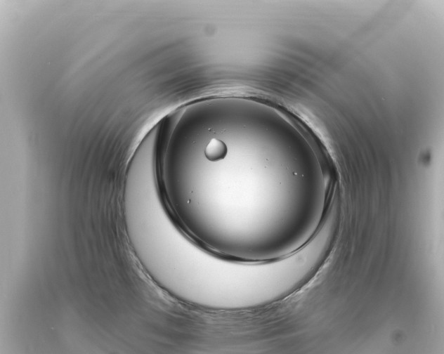 X0000094231481200711021151