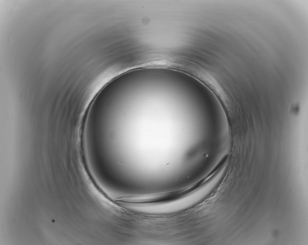 X0000094231483200711021151