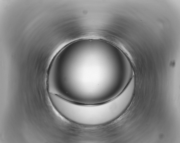 X0000094231484200711021151