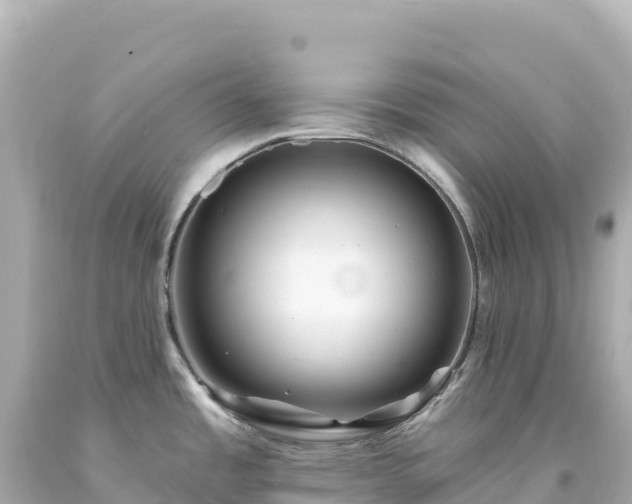 X0000094231485200711021151