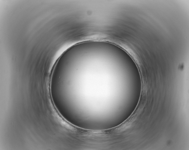 X0000094231486200711021151