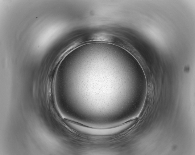 X0000094231487200711021151