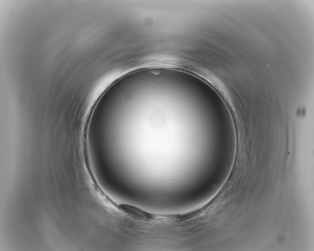 X0000094231488200711021151