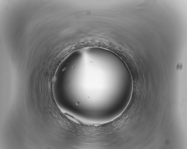 X0000094231489200711021150