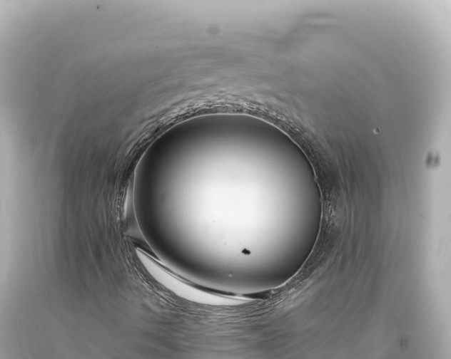 X0000094231490200711021150