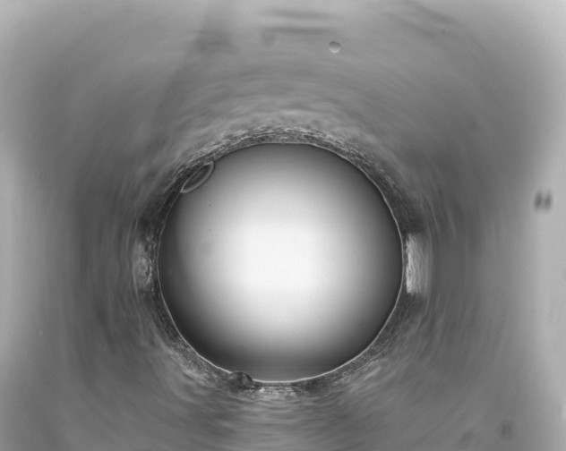 X0000094231491200711021150
