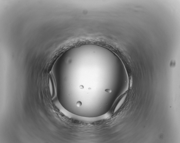X0000094231492200711021150