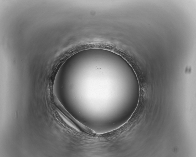 X0000094231493200711021150