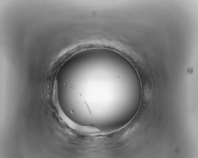 X0000094231494200711021150