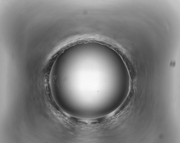 X0000094231496200711021150