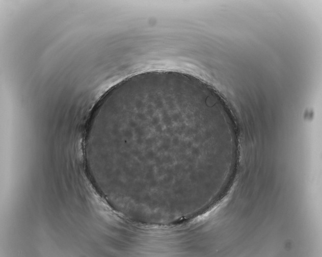 X0000094231497200711021150