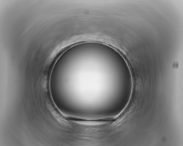 X0000094231499200711021150