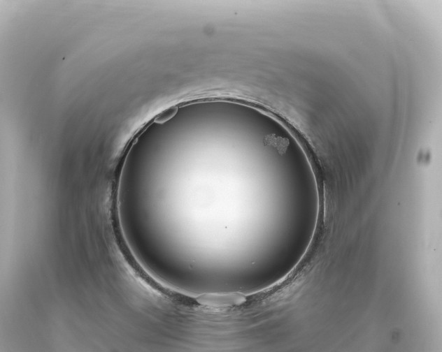 X0000094231500200711021150