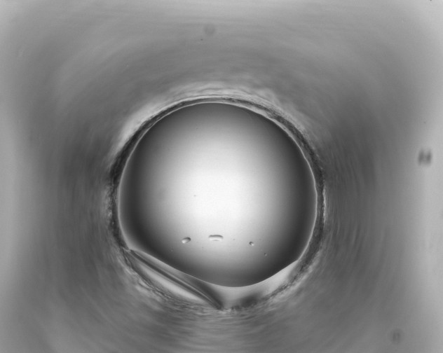 X0000094231501200711021150