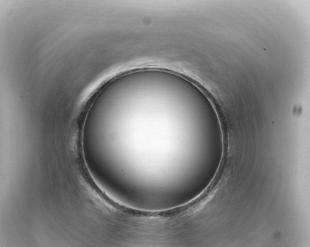 X0000094231502200711021150
