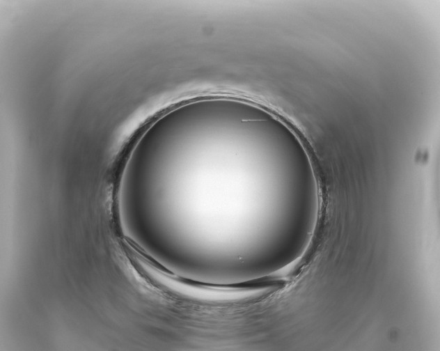 X0000094231503200711021150