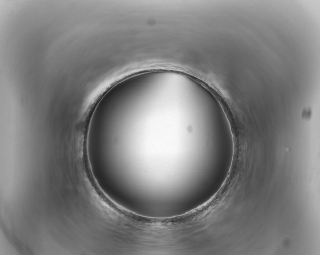 X0000094231504200711021150