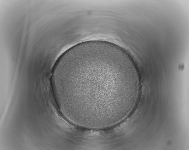 X0000094231505200711021150