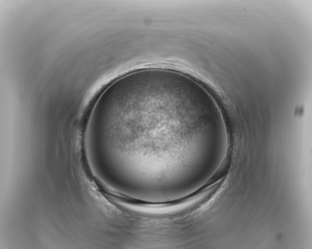 X0000094231506200711021150